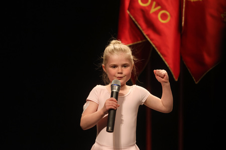 SVEČANA SEJA  GASILSKE ZVEZE CERKNICA 68 FOTO LJUBO VUKELIČ